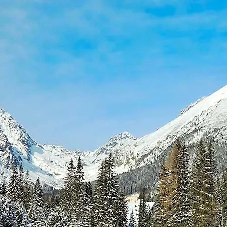 ホテル Panorama 805 Vysoké Tatry